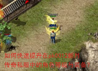 如何快速提升在pk0012新月传奇私服中的角色等级与装备? 如何快速提升在pk0012新月传奇私服中的角色等级与装备?