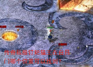 传奇私服钉耙猫王在白日门哪个位置可以找到? 传奇私服钉耙猫王在白日门哪个位置可以找到?