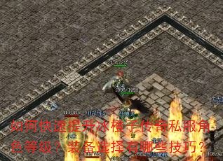 如何快速提升冰橙子传奇私服角色等级?装备选择有哪些技巧? 如何快速提升冰橙子传奇私服角色等级?装备选择有哪些技巧?