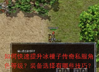 如何快速提升冰橙子传奇私服角色等级?装备选择有哪些技巧? 如何快速提升冰橙子传奇私服角色等级?装备选择有哪些技巧?