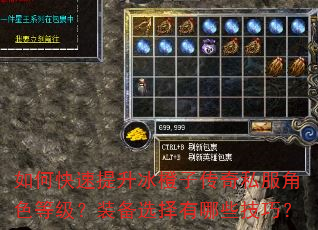 如何快速提升冰橙子传奇私服角色等级?装备选择有哪些技巧? 如何快速提升冰橙子传奇私服角色等级?装备选择有哪些技巧?