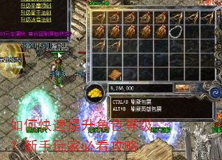 如何快速提升角色等级?新手玩家必看攻略 如何快速提升角色等级?新手玩家必看攻略