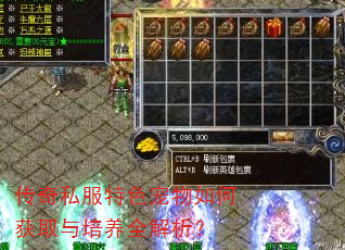 传奇私服特色宠物如何获取与培养全解析? 传奇私服特色宠物如何获取与培养全解析?
