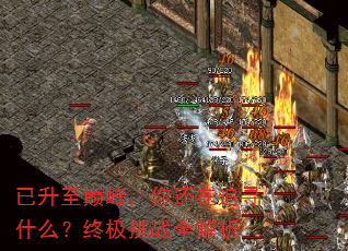 已升至巅峰,你还在追寻什么?终极挑战全解析 已升至巅峰,你还在追寻什么?终极挑战全解析