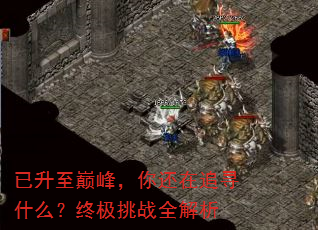 已升至巅峰,你还在追寻什么?终极挑战全解析 已升至巅峰,你还在追寻什么?终极挑战全解析