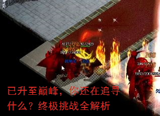已升至巅峰,你还在追寻什么?终极挑战全解析 已升至巅峰,你还在追寻什么?终极挑战全解析