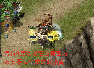 传奇G游戏现在还有官方服务器吗?求攻略指南。 传奇G游戏现在还有官方服务器吗?求攻略指南。