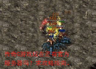 传奇G游戏现在还有官方服务器吗?求攻略指南。 传奇G游戏现在还有官方服务器吗?求攻略指南。