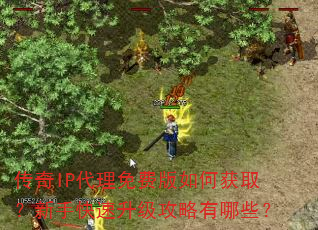 ����IP������Ѱ���λ�ȡ�����ֿ���������������Щ��