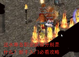 逆水寒各职业武器分别是什么?新手入门必看攻略 逆水寒各职业武器分别是什么?新手入门必看攻略