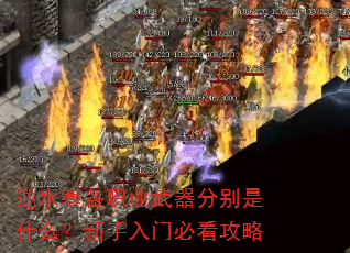 逆水寒各职业武器分别是什么?新手入门必看攻略 逆水寒各职业武器分别是什么?新手入门必看攻略