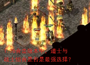 1.76�ϻ��汾�У���ʿ��սʿ����Ƿ�����ǿѡ��