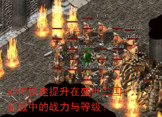 如何快速提升在盛世三国新服中的战力与等级? 如何快速提升在盛世三国新服中的战力与等级?