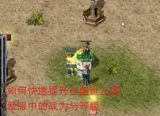 如何快速提升在盛世三国新服中的战力与等级? 如何快速提升在盛世三国新服中的战力与等级?