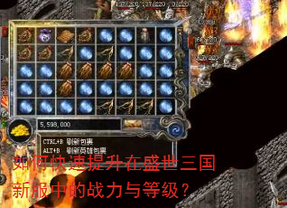 如何快速提升在盛世三国新服中的战力与等级? 如何快速提升在盛世三国新服中的战力与等级?