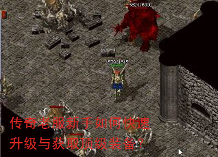 传奇老服新手如何快速升级与获取顶级装备? 传奇老服新手如何快速升级与获取顶级装备?