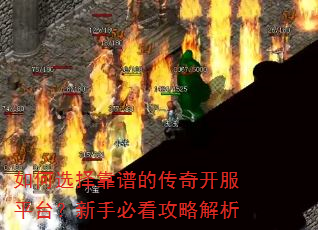 ���ѡ���׵Ĵ��濪��ƽ̨�����ֱؿ����Խ���