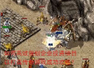 ��θ�Ч�滮��ҵͶ����Ŀ�Դ��촫����Ϸ�ɹ����ԣ�