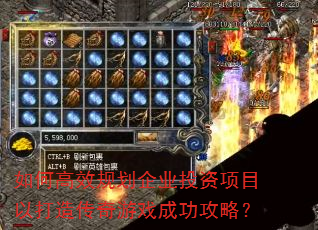 ��θ�Ч�滮��ҵͶ����Ŀ�Դ��촫����Ϸ�ɹ����ԣ�