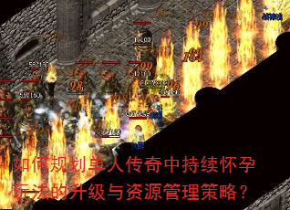 如何规划单人传奇中持续怀孕玩法的升级与资源管理策略? 如何规划单人传奇中持续怀孕玩法的升级与资源管理策略?