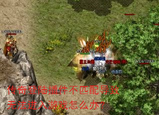 传奇登陆插件不匹配导致无法进入游戏怎么办? 传奇登陆插件不匹配导致无法进入游戏怎么办?